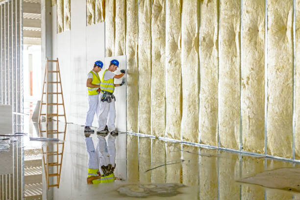 Best Commercial Insulation in Temperance, MI